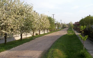 Tavaszi utcakép
